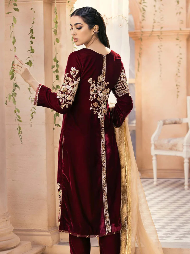 Embroidered Velvet 3-Piece Dress with Embroidered Organza - 1002