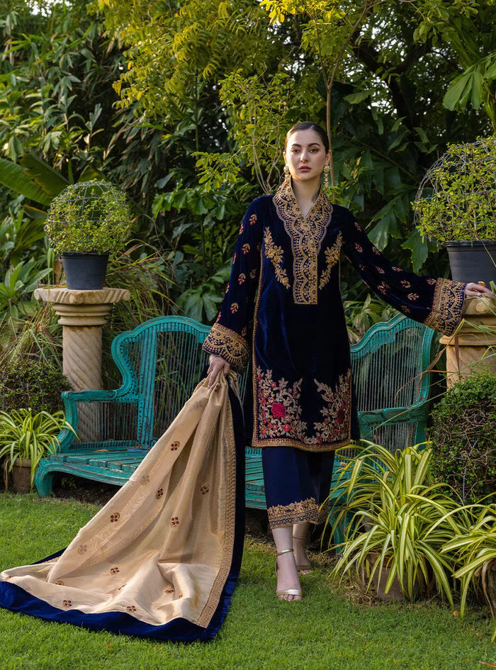 3 Piece Embroidered Velvet Dress - 1010