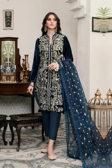 Embroidered Velvet 3-Piece Dress with Embroidered Organza - 1001