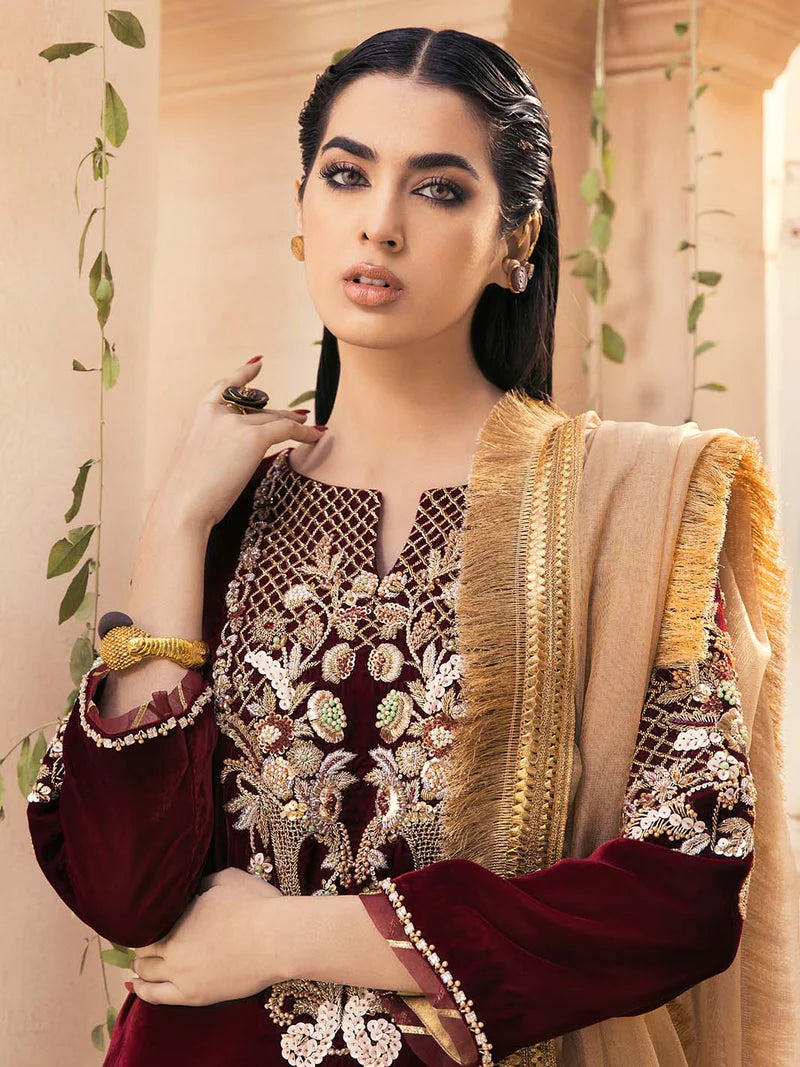 Embroidered Velvet 3-Piece Dress with Embroidered Organza - 1002