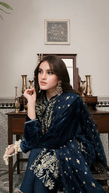 Embroidered Velvet 3-Piece Dress with Embroidered Organza - 1001