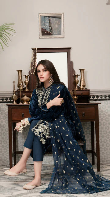 Embroidered Velvet 3-Piece Dress with Embroidered Organza - 1001