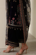 Regal Aura 1024